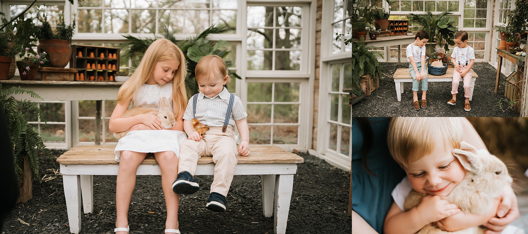 Greenhouse with Bunnies, Chicks, and Baby Duck